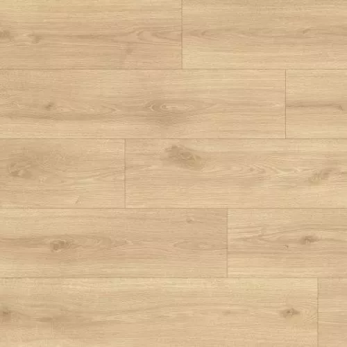 1874190 Дуб Руффини