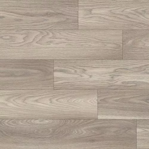 1874193 Дуб великолепный