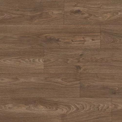 1874195 Дуб Виргинский