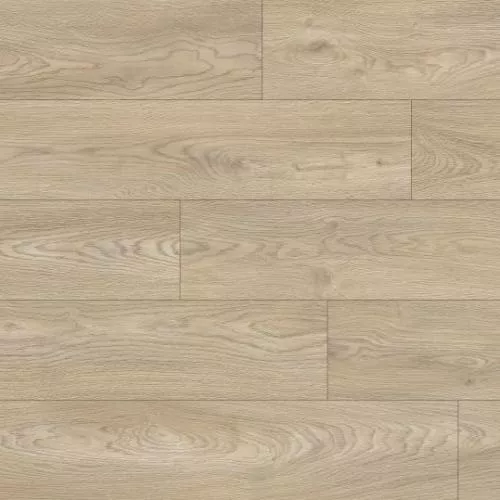 1874196 Дуб молодой