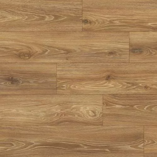 1874197 Дуб мореный