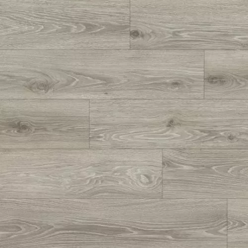 1874198 Дуб горный