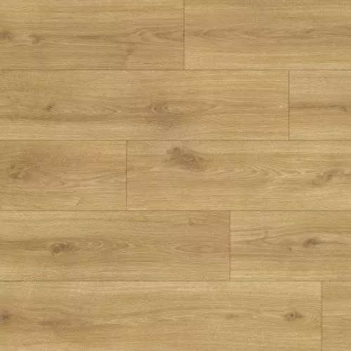 1874199 Дуб Шенонсо