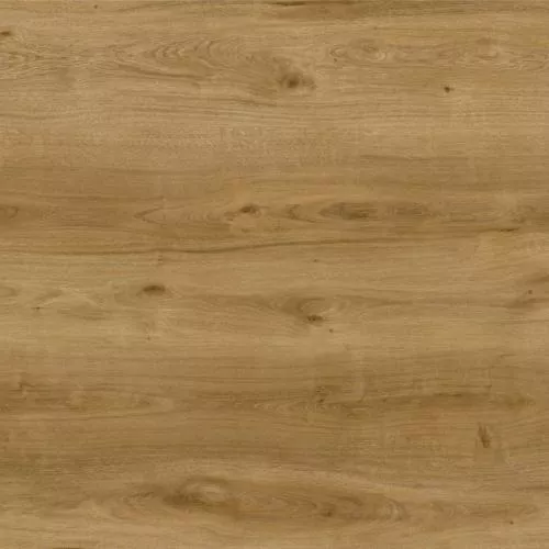 1874200 Дуб Тароко