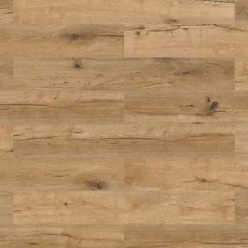 62741 Дуб Камден