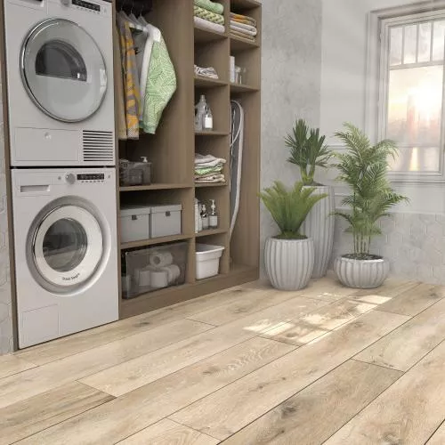 56874 Дуб санд