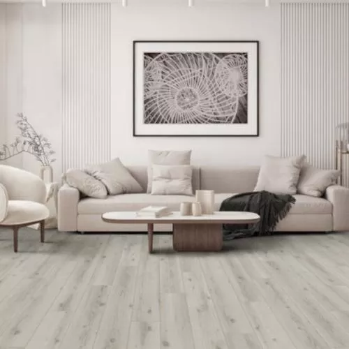 56879 Дуб белый