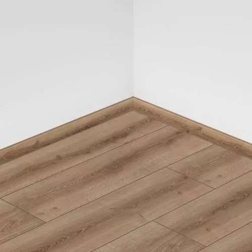 56219 Дуб Светлый