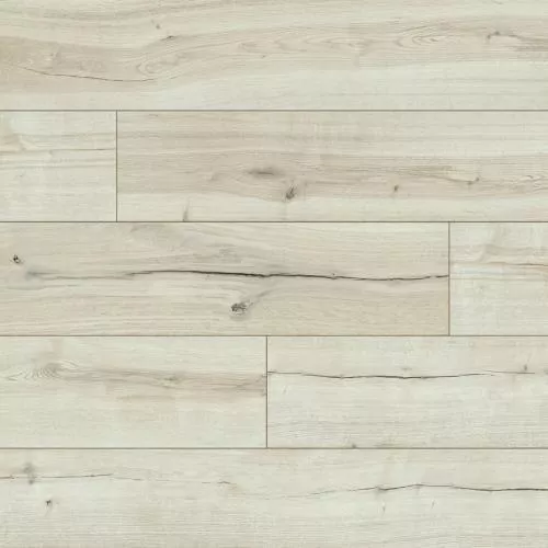 53004 Седжвик