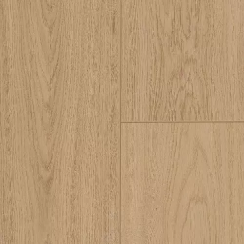 68278 Дуб мягкий песочный