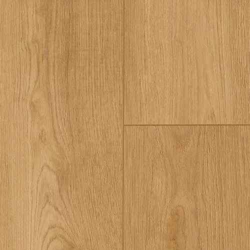 68279 Дуб мягкий медовый