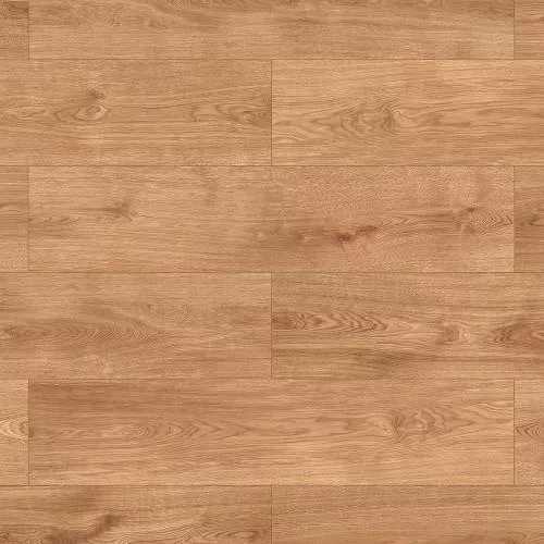 56692 Дуб Хилтон