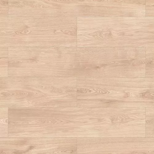 56693 Дуб Ларедо