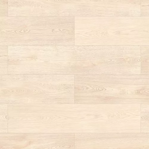 56696 Дуб Берген