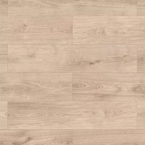 56697 Дуб Бредфорд