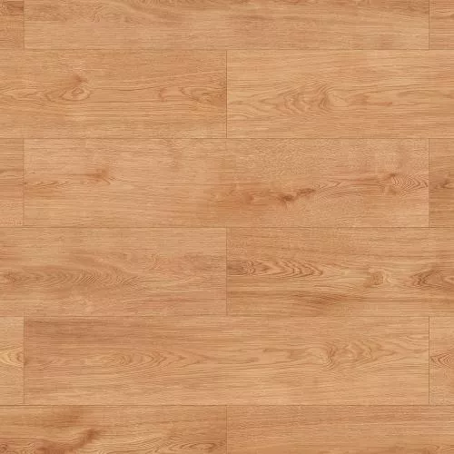 56698 Дуб Каламба