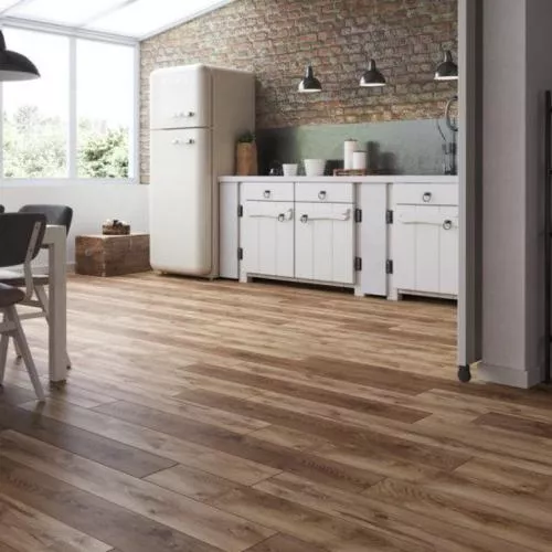 53344 Дуб Медина