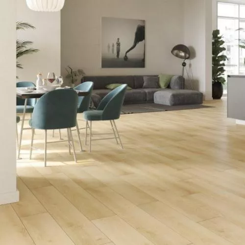 55234 Дуб Остин