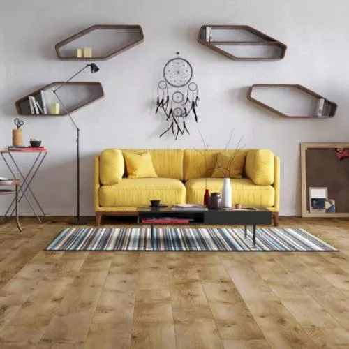 55675 Дуб Роверто