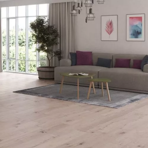 56130 Дуб Колари