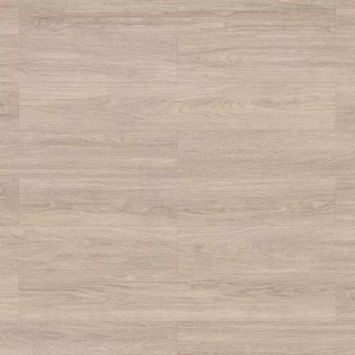 65133 Дуб Лечче