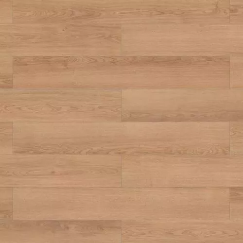 65134 Дуб Фоджа