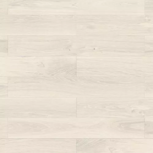 65135 Дуб Барлетта