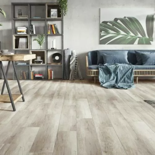 52600 Дуб Голдап