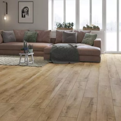 56620 Дуб Байкал