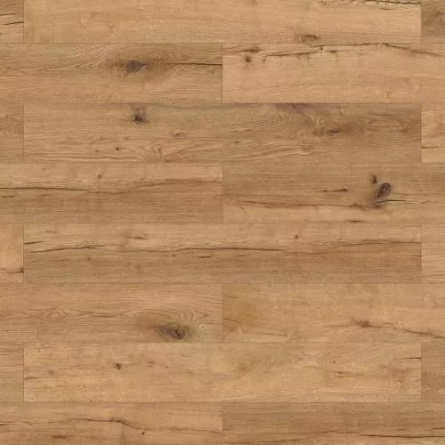 62741 Дуб Камден