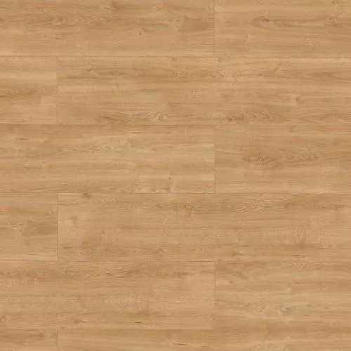 66769 Дуб Прованс