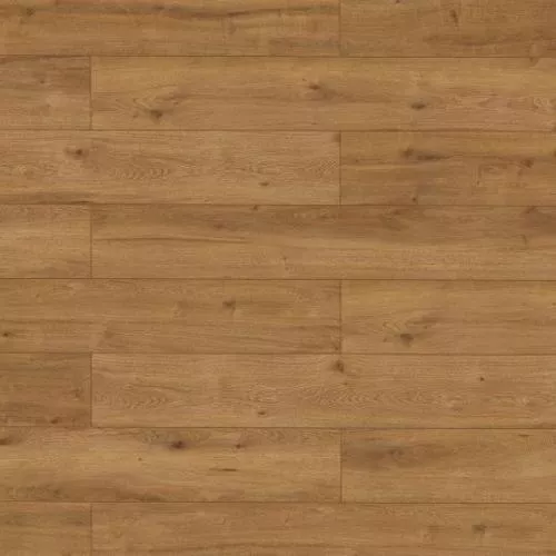 66772 Дуб Торонто