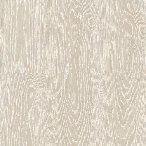 4011 Дуб Шанталь