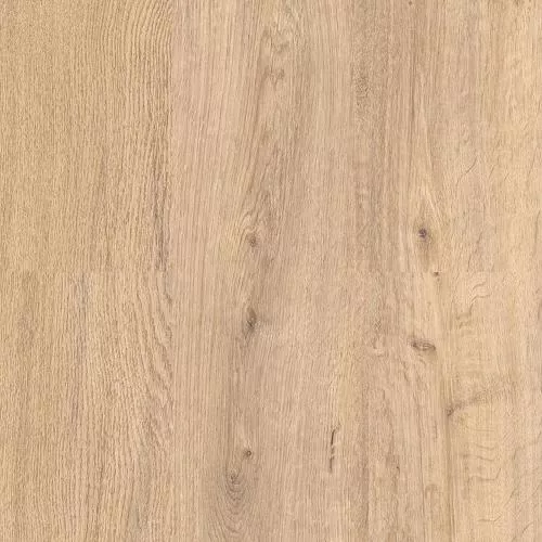 7011 Дуб Адель