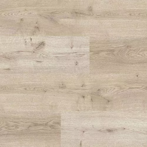 2902 Дуб Лагуна Бланка
