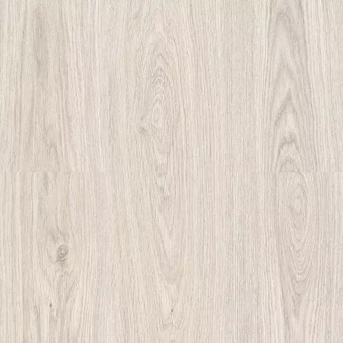 8017 Дуб Анри