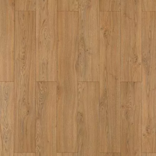 EPL156 Дуб Азгил медовый