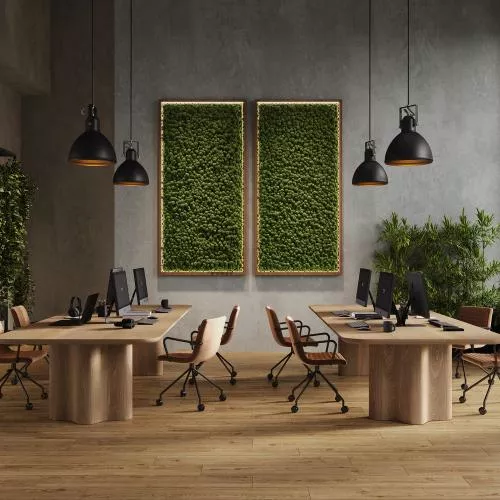 EPL257 Клен Киото браун