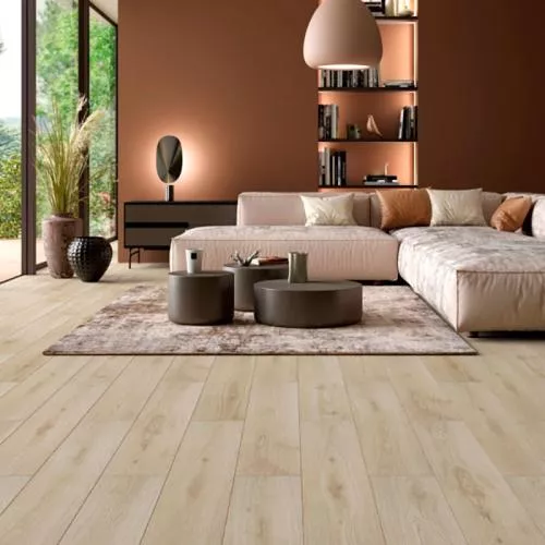 905 Дуб Тилбург