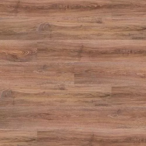 5339 Дуб Старинный