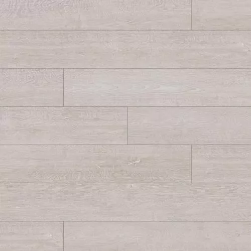 K031 Дуб Атлас