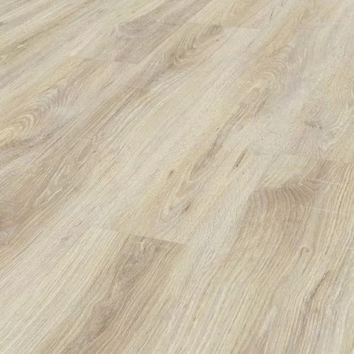 5236 Дуб Гренландский