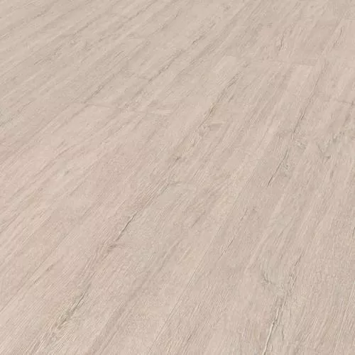 5529 Дуб Орегон