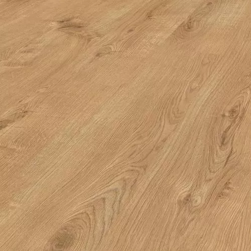 5985 Дуб Шервуд