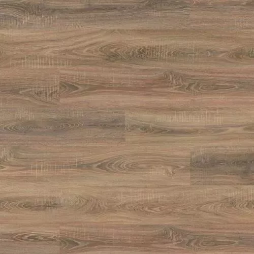 8072 Дуб Ностальгия