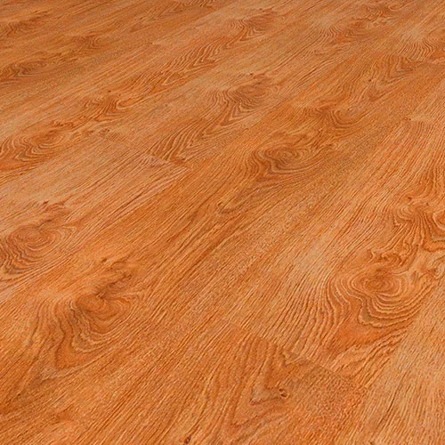 8635 Дуб Северный