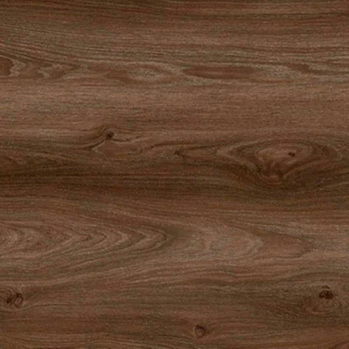  Дуб Аликанте