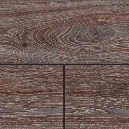  Дуб Шангрила