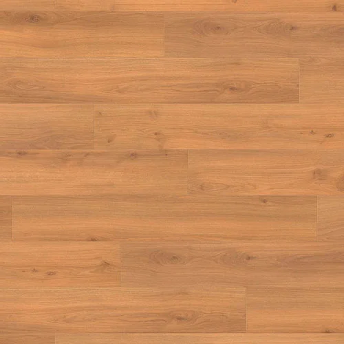 540269 Дуб Эмилия Медовый