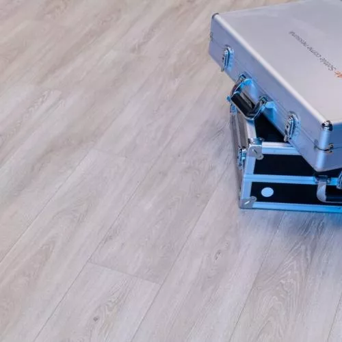 ID 4960 Дуб Сэднесс